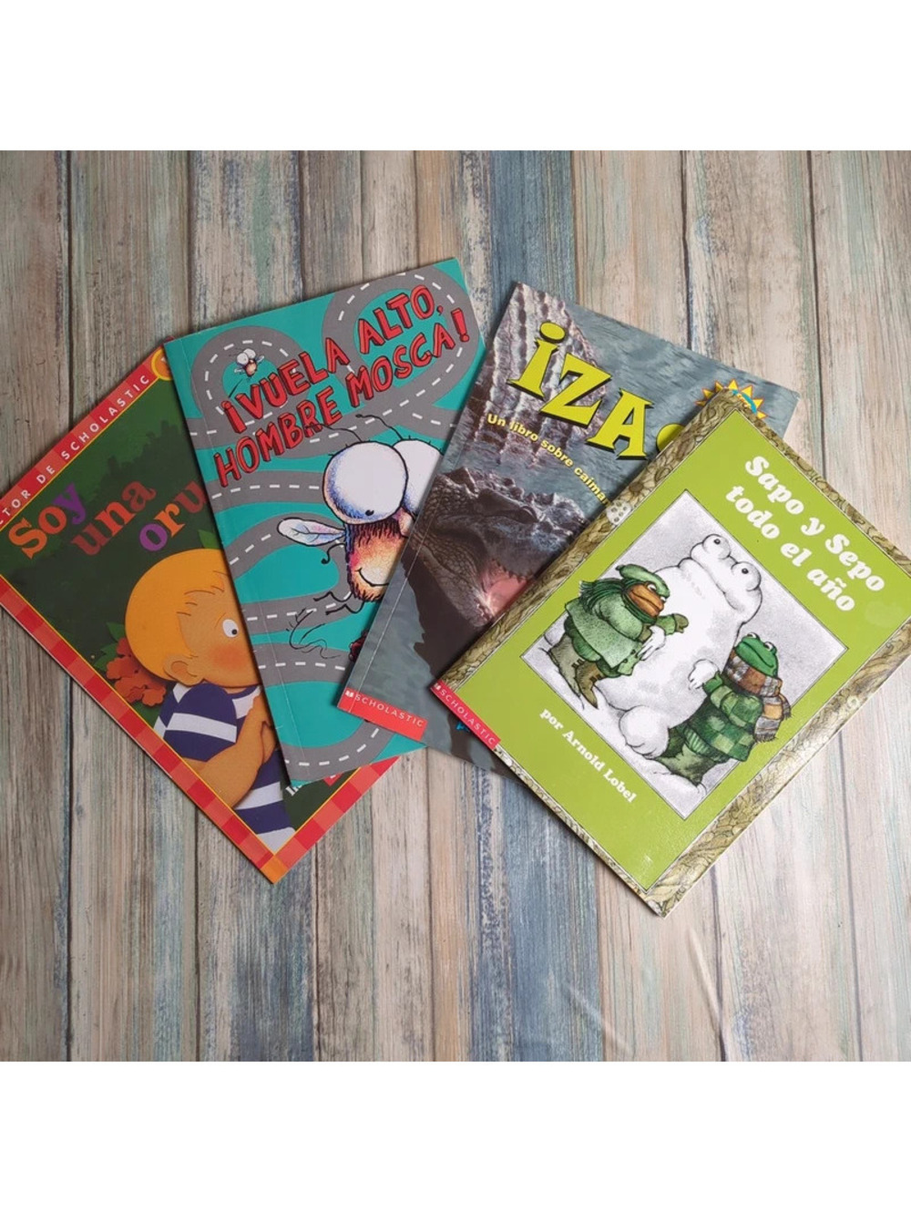 Lot of 4 Spanish Kids Books Scholastic Frog and Toad Fly Guy Early Readers